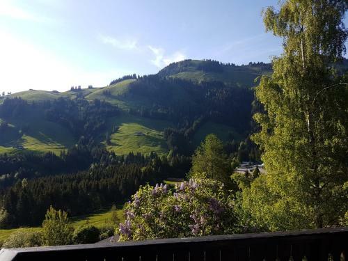 Charming Chalet With Panoramic View In Gruyere