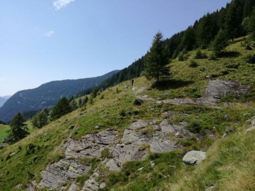 Albergue Ostello Landarenca
