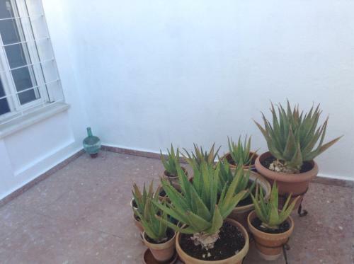 Casa Soleada En Calle Tranquila