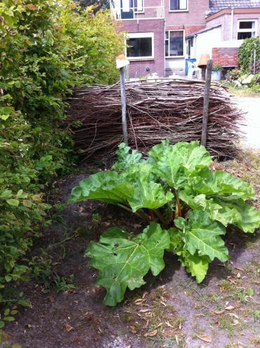Gasthuis Groede
