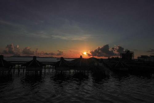 Albergue Cube Bed Station