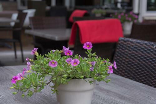 Logis Wildthout Hotel En Restaurant