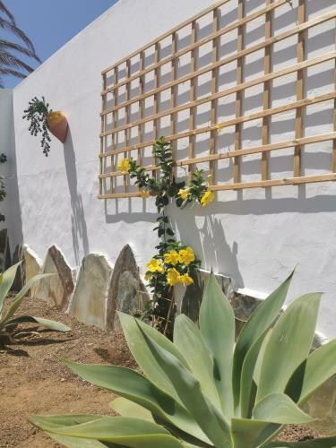 Martha`s Holiday Home