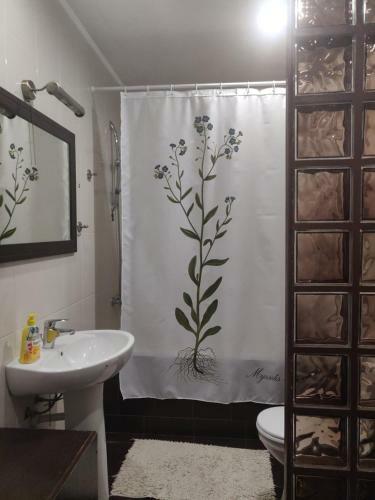 Arkadia Home Apartments