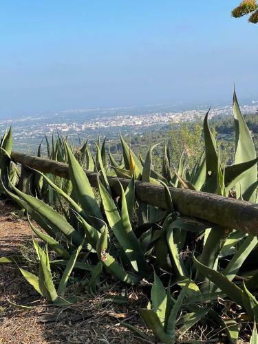 Villa Masia Catalana Sol Senyor