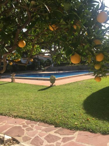 Villa Bungalow Marqu�rite Moraira, 5 Minutes From Beach