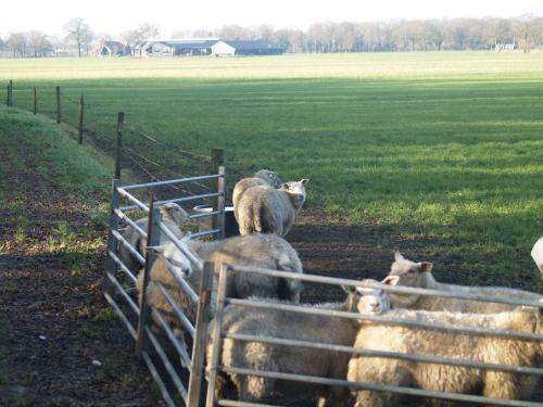Bed & Breakfast Erve 't Hacht