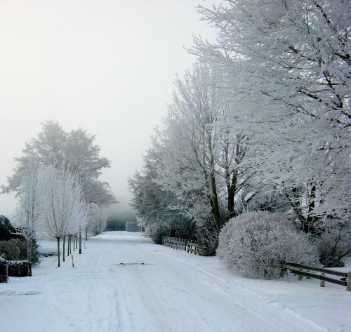 Bed & Breakfast Bij Janzen
