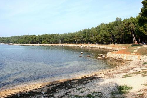 Apartments With Wifi Rovinj - 15084