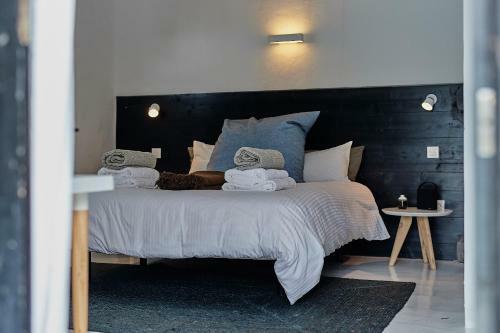 Hostal Finca Malvasia Vineyard