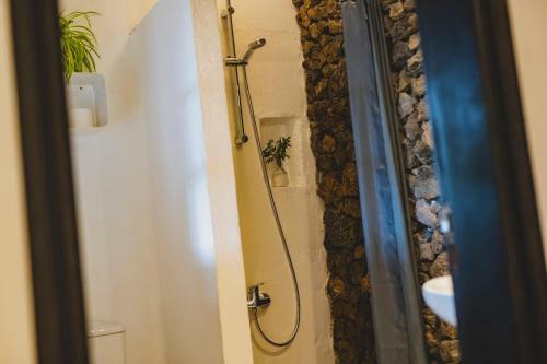Hostal Finca Malvasia Vineyard