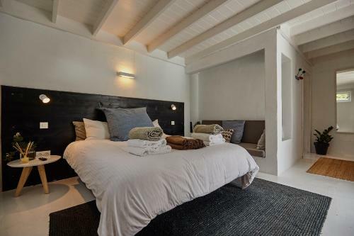 Hostal Finca Malvasia Vineyard