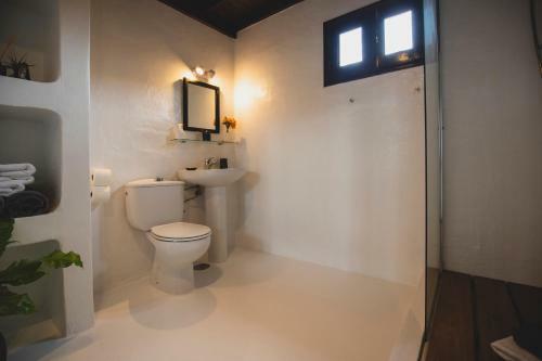 Hostal Finca Malvasia Vineyard