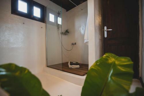 Hostal Finca Malvasia Vineyard