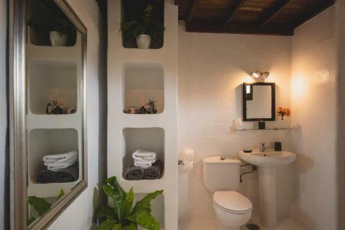 Hostal Finca Malvasia Vineyard