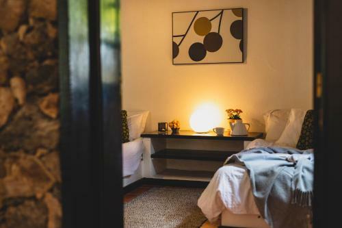 Hostal Finca Malvasia Vineyard