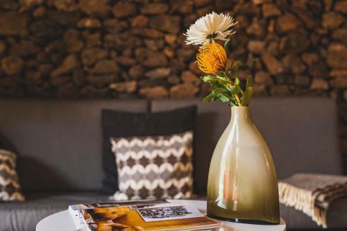 Hostal Finca Malvasia Vineyard
