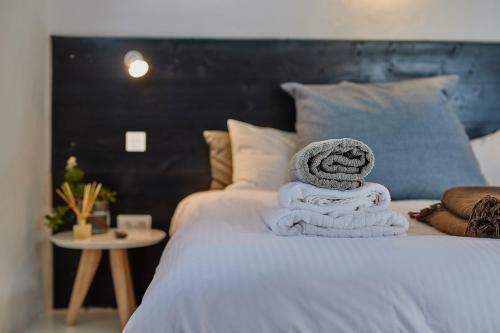 Hostal Finca Malvasia Vineyard
