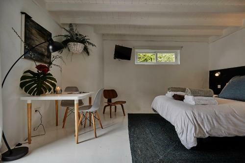 Hostal Finca Malvasia Vineyard