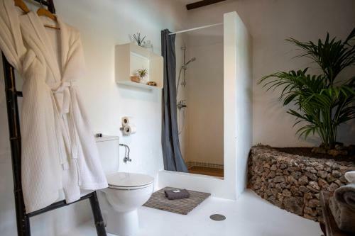 Hostal Finca Malvasia Vineyard