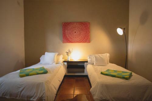Hostal Finca Malvasia Vineyard