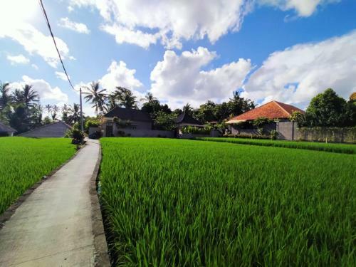 Griantika Sriwedari Villa Ubud