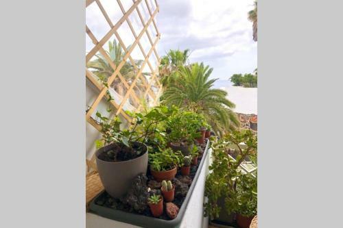 Apartamento Modern & Spacious Studio Isla Puerto Del Carmen