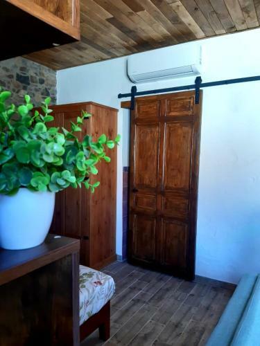 Apartamentos Callampa