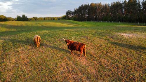 Agroturismo Krasne Pole Gospodarstwo Rolne