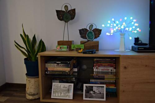 Apartament G�rnicza W Kowarach