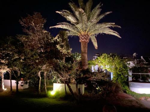 Posada Spirit Garden Tarifa