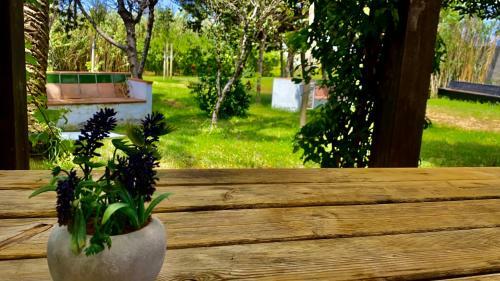 Posada Spirit Garden Tarifa