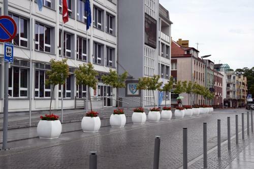 Apartament Zawiszy Czarnego 10