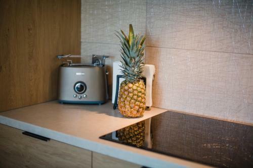 W&k Apartments - Green Suite