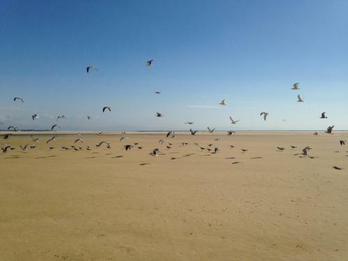 Agroturismo Rural Tarifa Beach