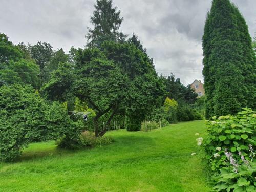 Hostal Siedlisko Nad Sapin?