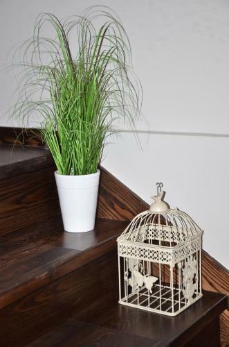 Apartament Przy ?r�de?ku