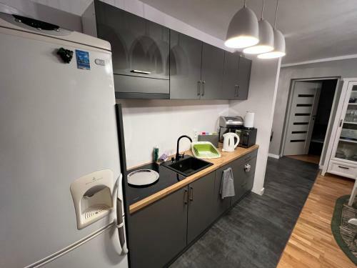 Ko?ciuszki Apartament Ko?ciuszki 1
