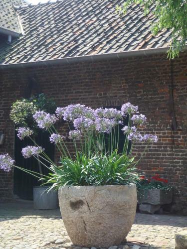 Bed & Breakfast Hoeve Berghof
