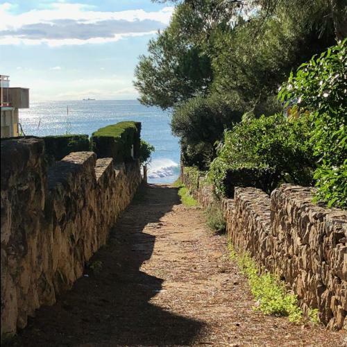 Entre Pinos Pb Beach Apartment