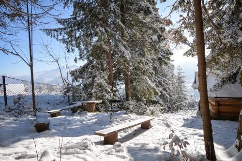 Lodge Chata Pod Bukiem 1