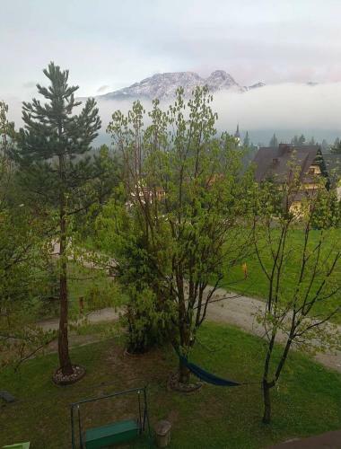 Tatraapart Rent E-bike