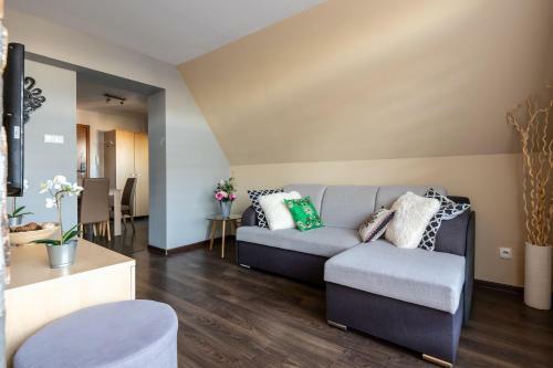 Apartament Zak?tek Mi?tusi