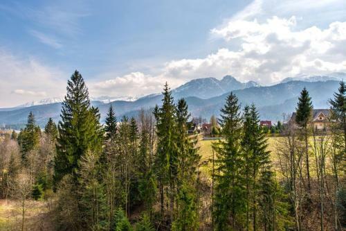 Apartament Butorowy Ko?cielisko