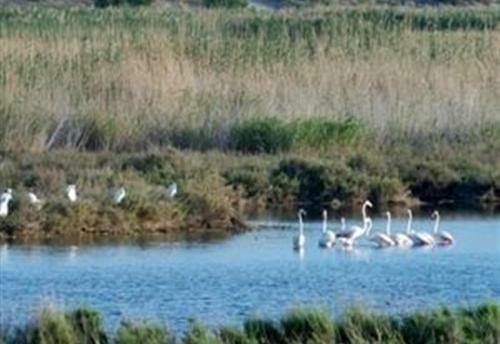 Apartamento Luxury 5-star Spa Break