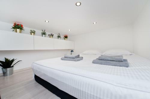 Apartamento Dietla 99 - Studio By Homeprime