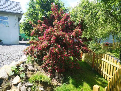 Apartamento Agroturystyka U Kozdryka