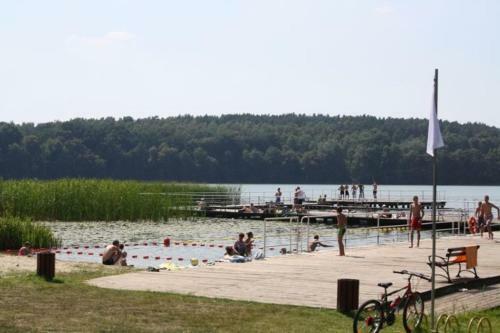 Bac�wki Nad Jeziorem Goszcza