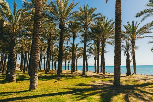 Apartamento Torremolinos San Miguel