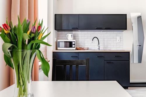 Apartamento Olejna 12